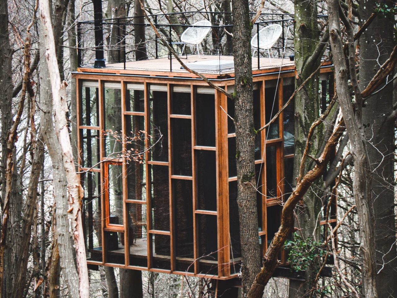 moderne boomhut met veel glas in een bos